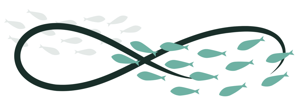 Fish swimming in the shape of an infinity symbol.