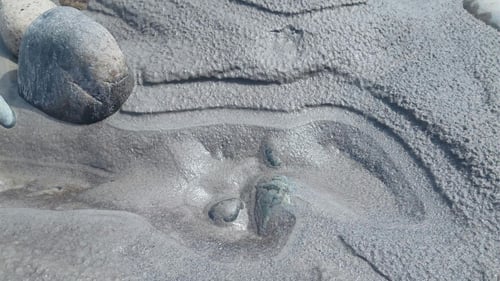 Starting Below The Surface: How Foundations Training Builds a Shared Understanding for Change